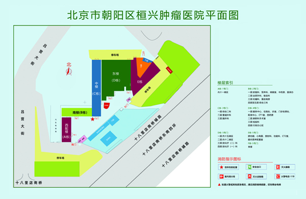 操我好爽好想要免费视频北京市朝阳区桓兴肿瘤医院平面图